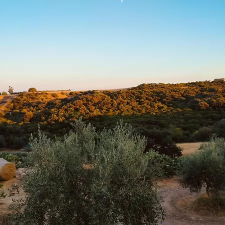 Casa Natura - Campagna E Mare - Holiday home Marconia