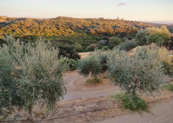 Holiday home Casa Natura - Campagna E Mare - Marconia